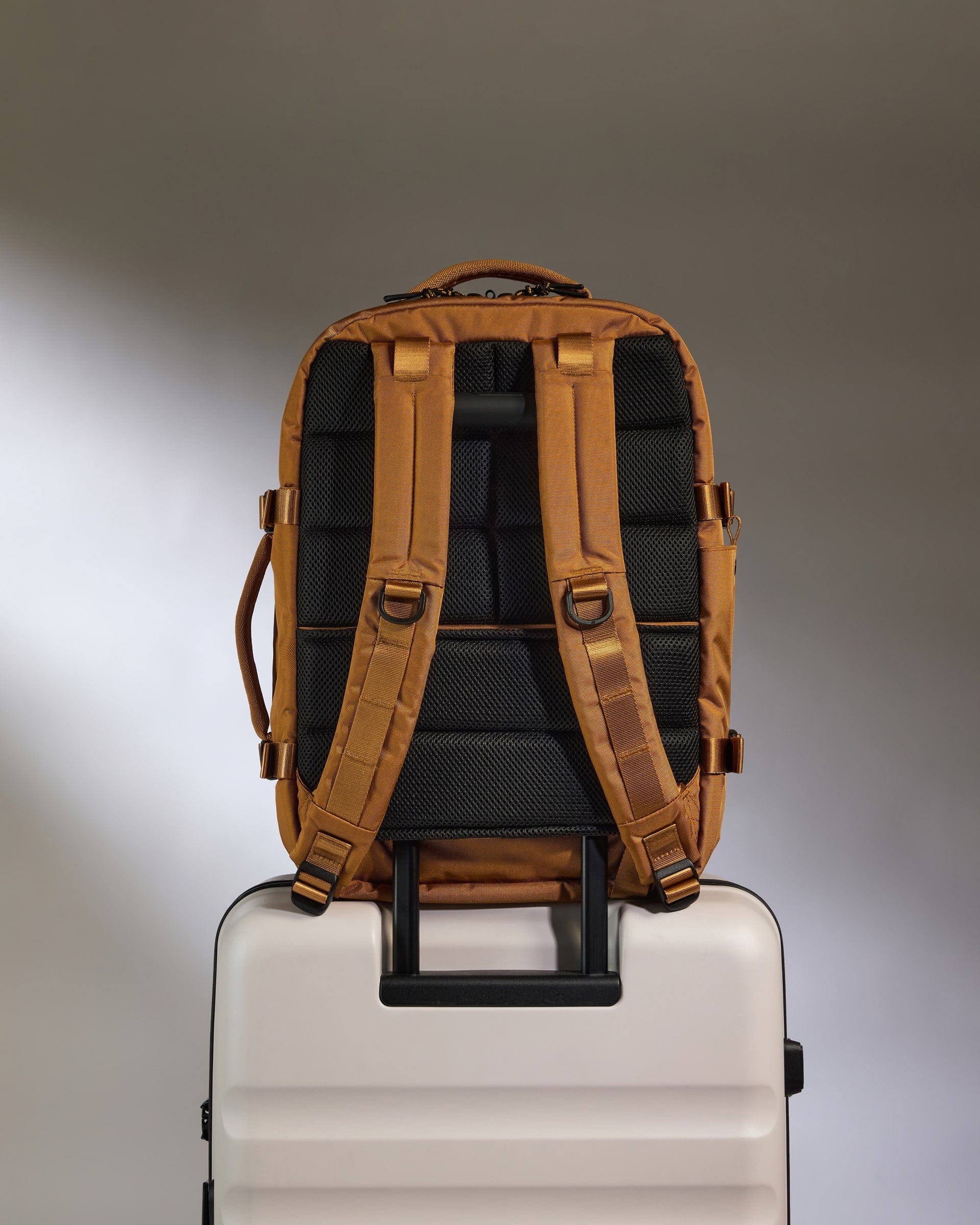 Discovery 28L Backpack in Mustard Yellow - Image 5