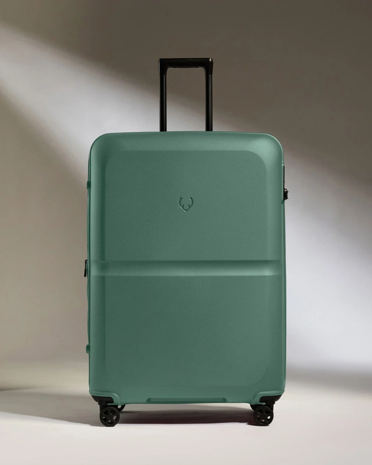 Large Suitcase in Seagrass Green - Single Stripe - Image 5